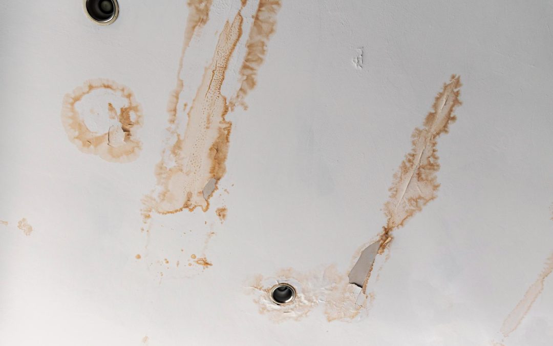How to Prevent Water Damage in Your Home