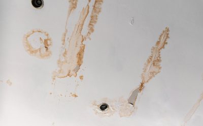 News & Media 4 How to Prevent Water Damage in Your Home
