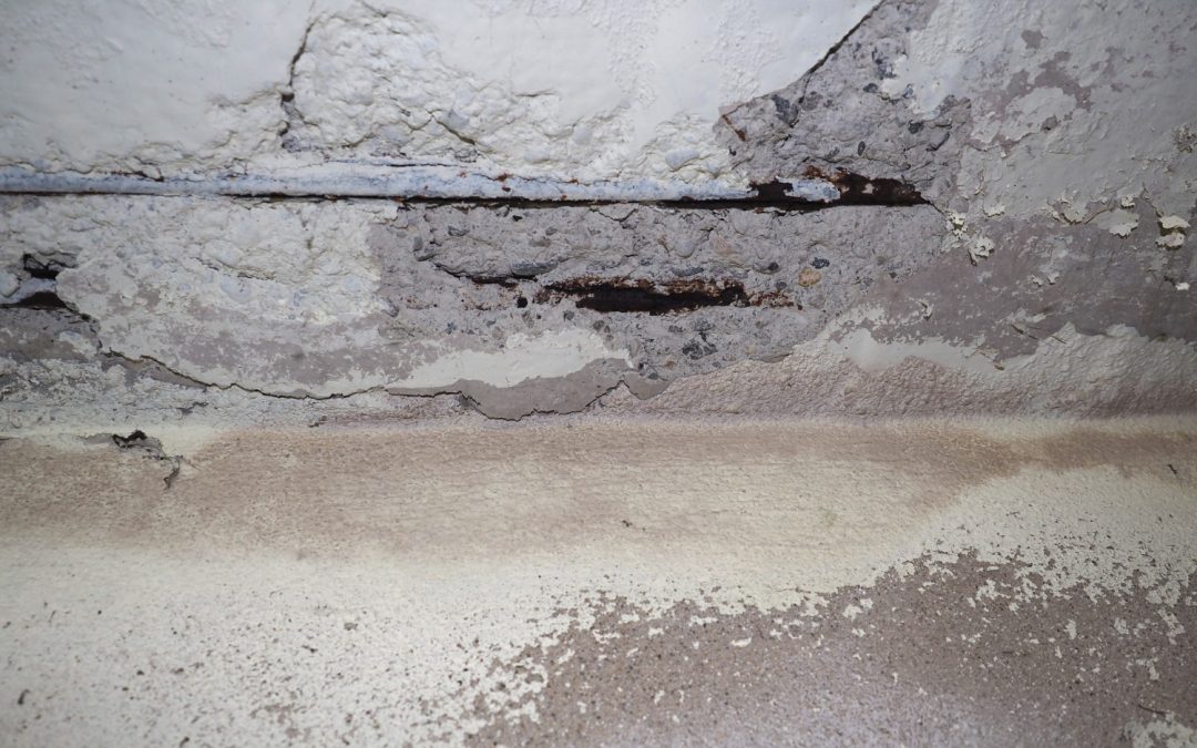Essential Tips for Preventing Water Damage in Your Basement