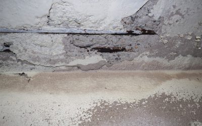 Essential Tips for Preventing Water Damage in Your Basement
