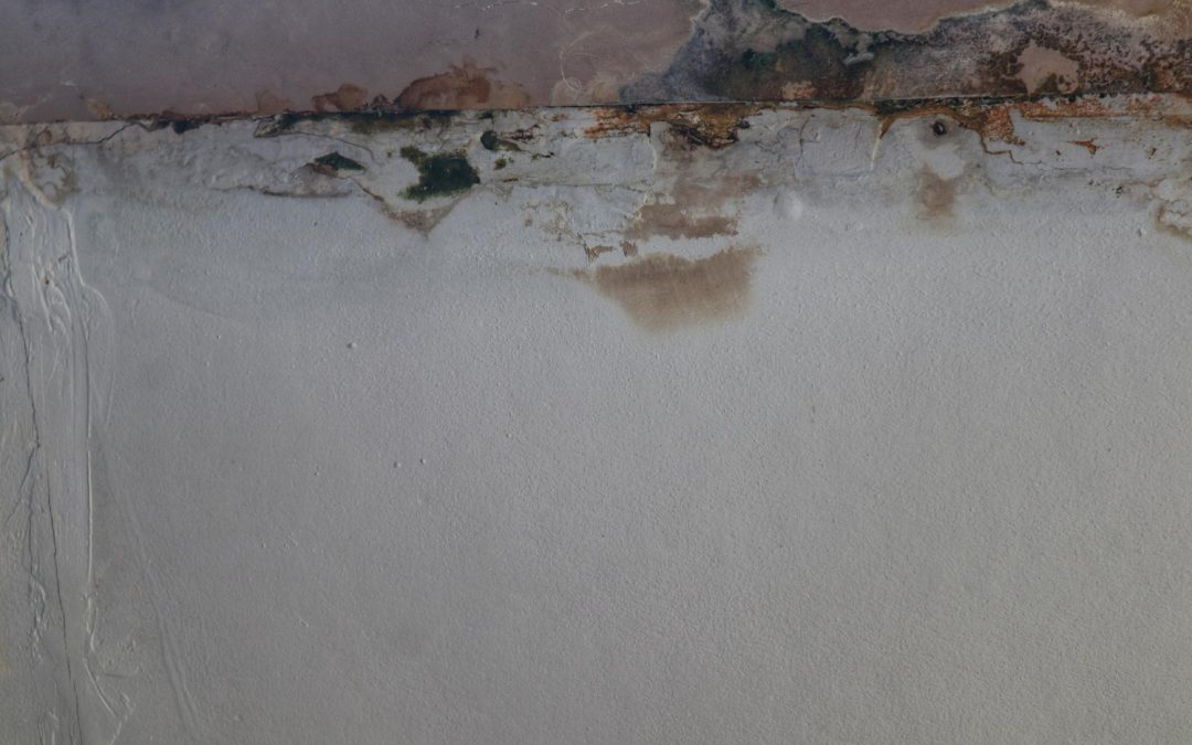 Signs You Need Professional Water Damage Restoration
