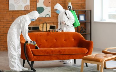 News & Media 5 Professional Biohazard Cleanup: Protecting Health and Restoring Properties