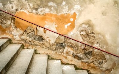 News & Media 3 Mold Remediation for Commercial Properties: Protect Your Occupants