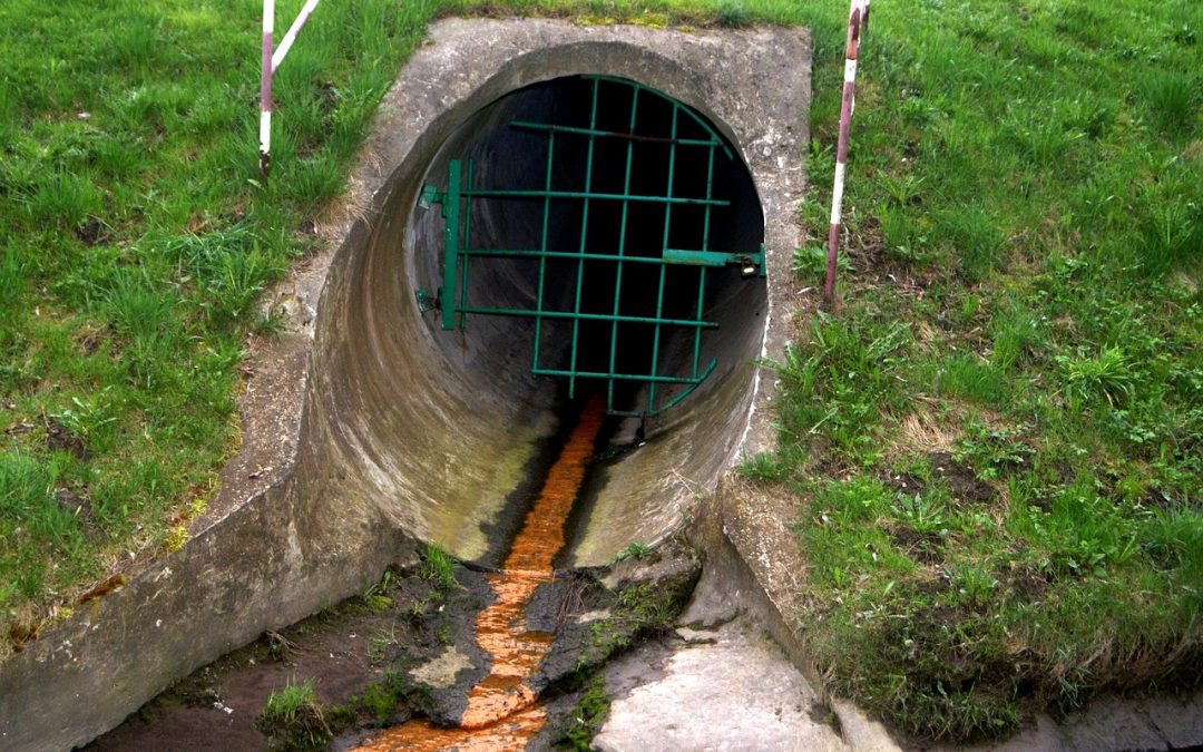How to Deal with Sewage Backup in Your Home