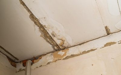 Top Causes of Water Damage in Homes and How to Avoid Them