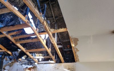 News & Media 4 Effective Strategies for Recovering Commercial Properties from Fire Damage