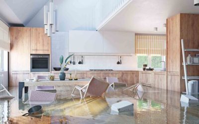 News & Media 5 How We Restore Your Home After a Flood: Step-by-Step Process