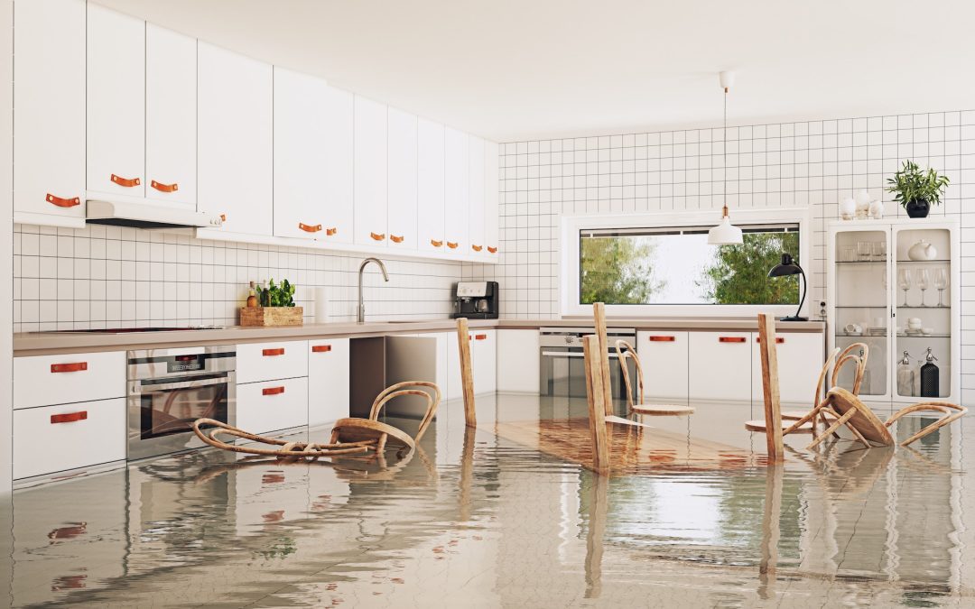 Recovering from a Natural Disaster: Tips on Navigating the Restoration Process