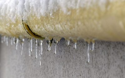 Dealing with Water Damage from Frozen Pipes: What to Do