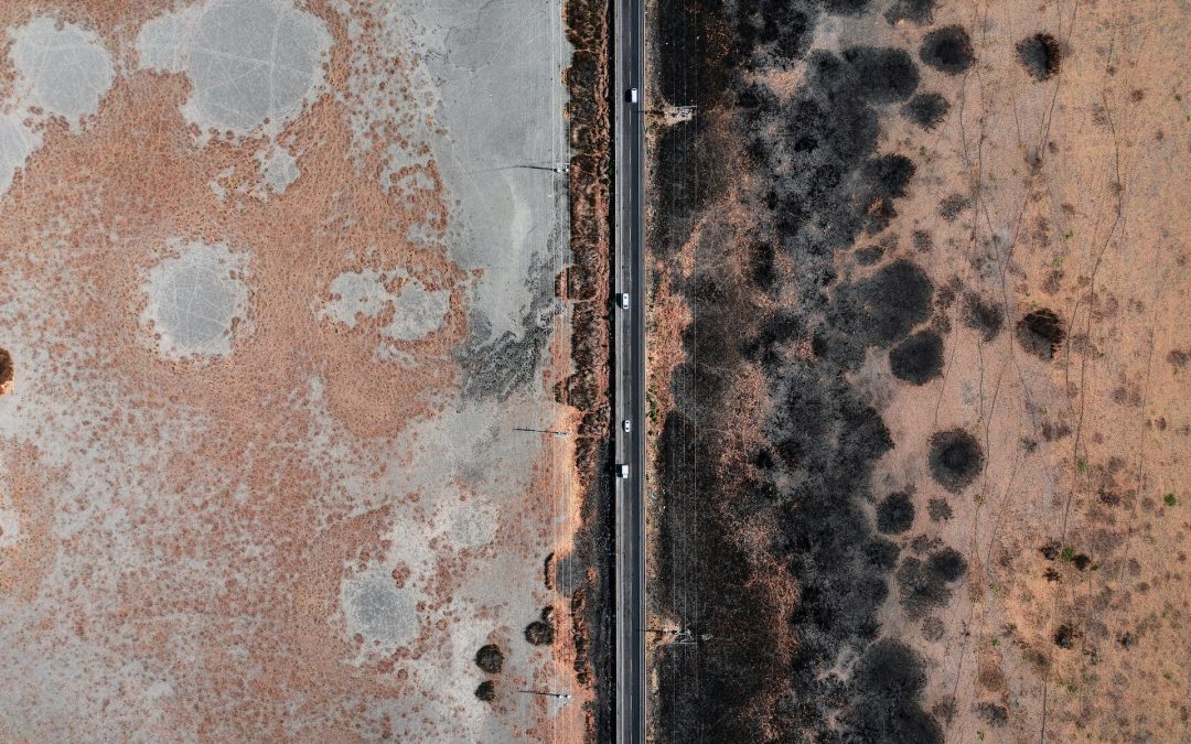 Detect Mold Damage Early: Top 10 Warning Signs