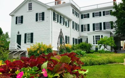 Fire-Resistant Landscaping Solutions