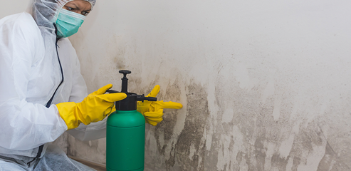 water mitigation