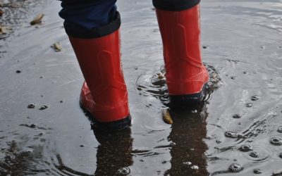What to Do Immediately After a Flood: Quick Actions That Matter