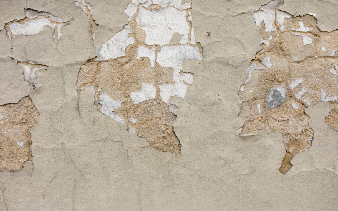 Expert Mold Remediation Services with Paragon Restores