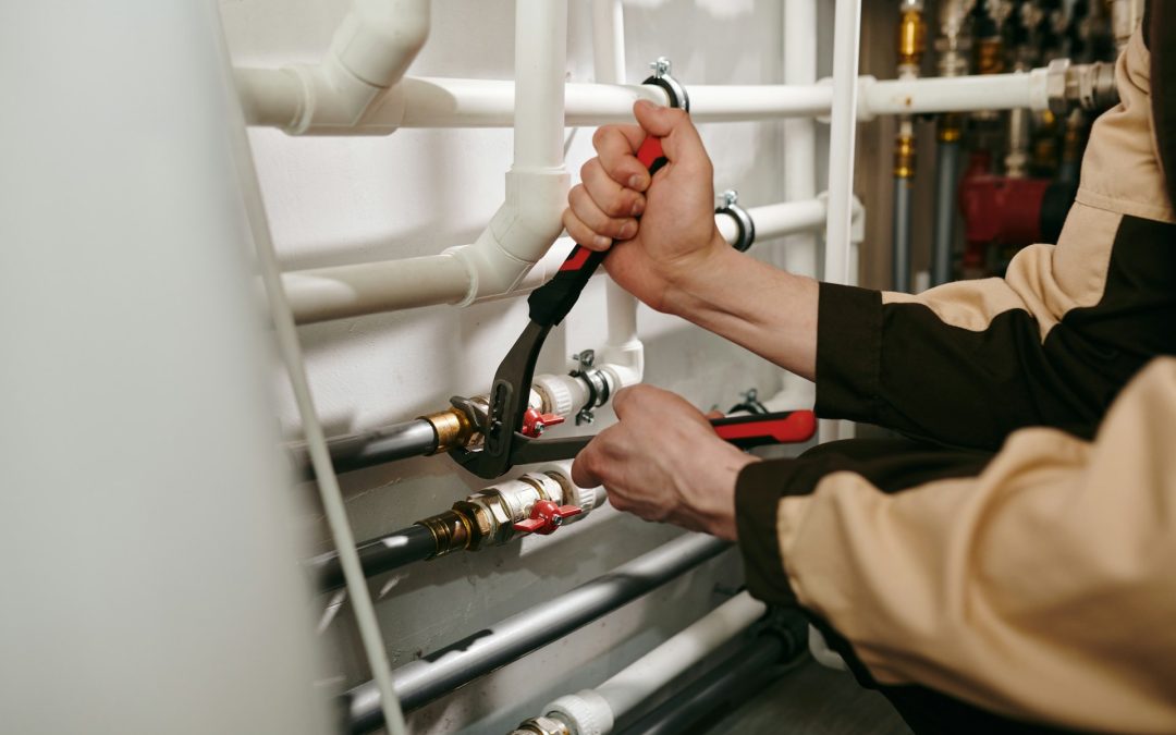 Preventing Mold Growth After Water Damage to Protect Your Property