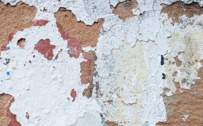 News & Media 8 Does Mold Grow in Concrete and Cement?: What You Should Know