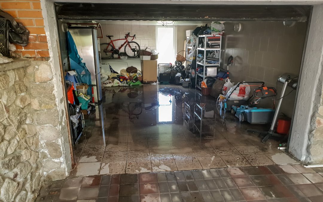 Complete Water Damage Restoration Guide