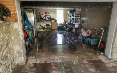 Complete Water Damage Restoration Guide