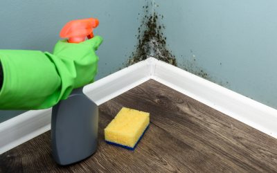 News & Media 8 Mold Prevention and Remediation for Winter Season