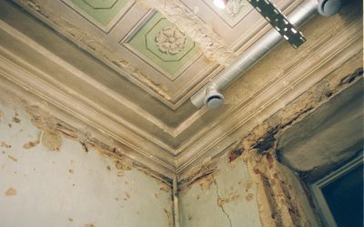 News & Media 10 Detecting Mold in Your Home: Tips and Advice