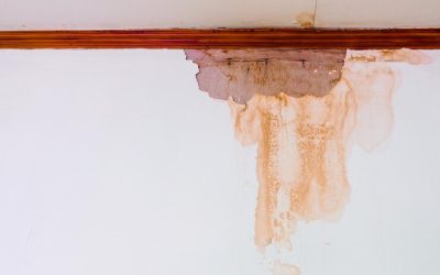 How to Detect Hidden Water Damage in Walls