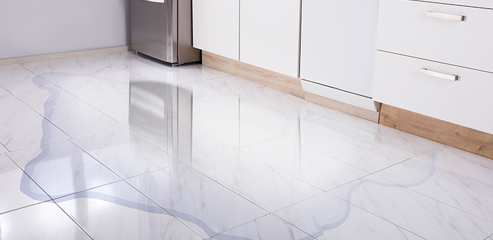 water mitigation